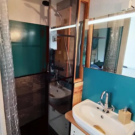 Le Petit Coolmar Apartment Colmar