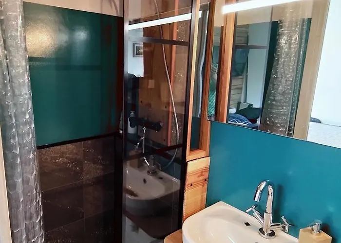 Le Petit Coolmar Apartment Colmar